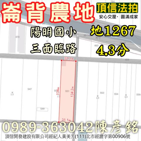 雲林崙背法拍農地-3