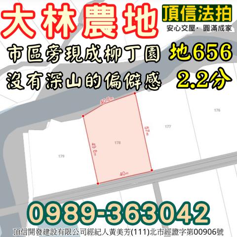 大林法拍農地-2