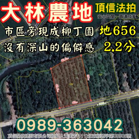 大林法拍農地-4