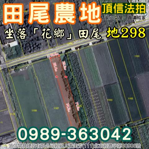 彰化田尾法拍農地-3