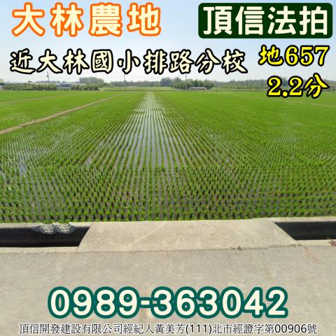 嘉義大林拍賣農地-0