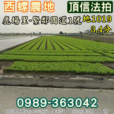 西螺農地拍賣-2