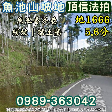 南投魚池法拍農地-0