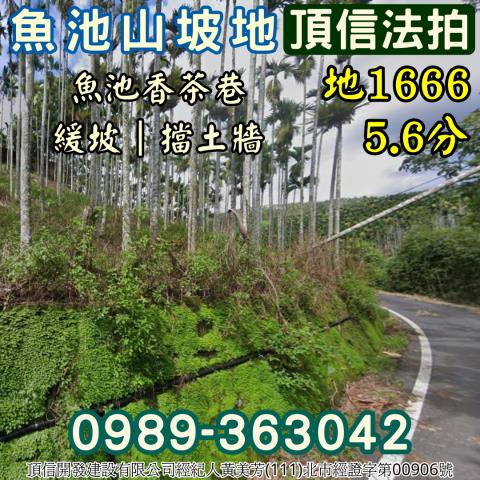 南投魚池法拍農地-3