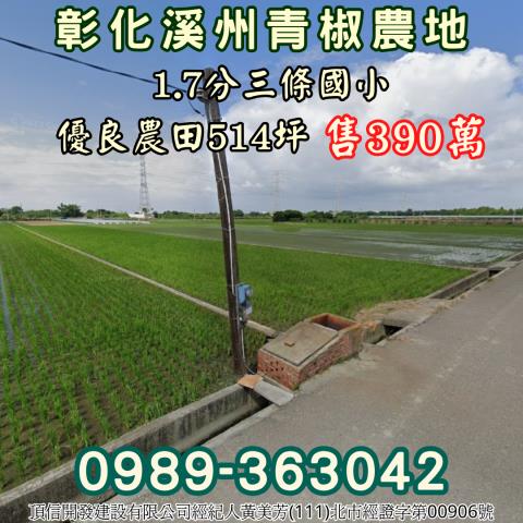 彰化溪州農地-0