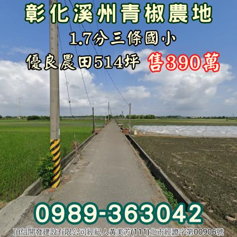 彰化溪州農地-2