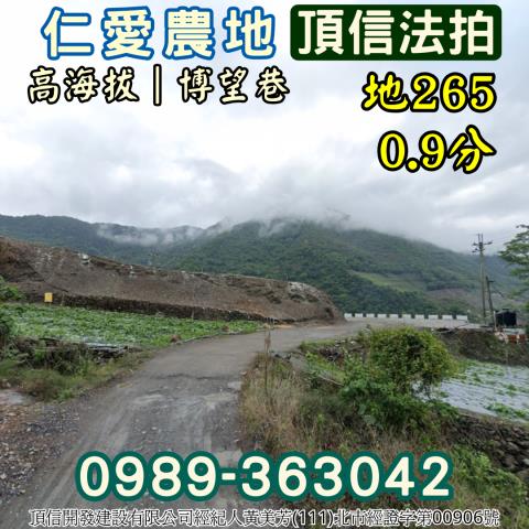 仁愛鄉法拍農地-0