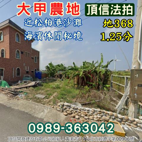 大甲農地法拍-2