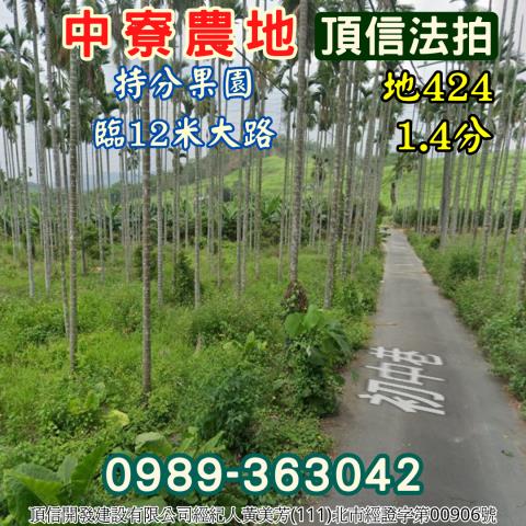 南投中寮農地法拍-2