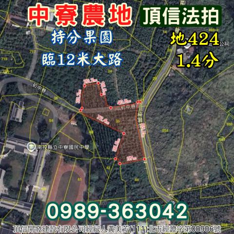 南投中寮農地法拍-3