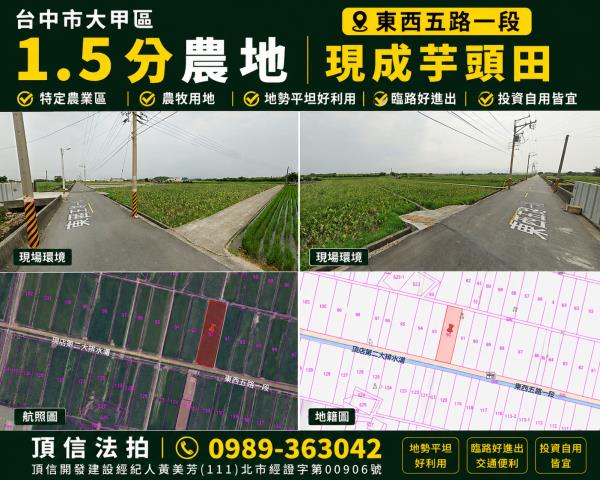 大甲農地法拍-0