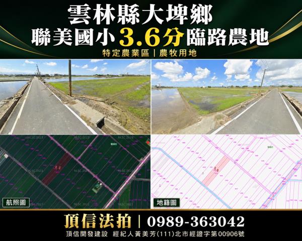 大埤農地法拍-0