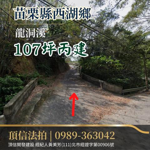 西湖法拍建地-0