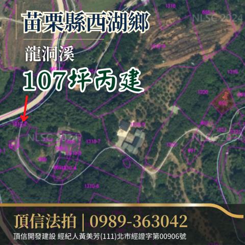 西湖法拍建地-1