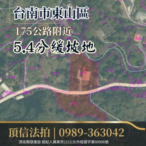 台南東山農地法拍-3