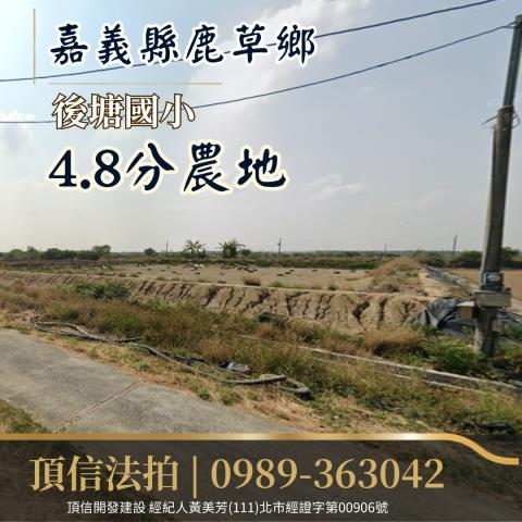 嘉義法拍農地-0