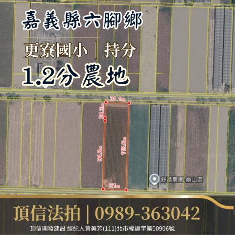 嘉義農地法拍-2