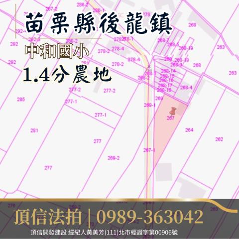 苗栗後龍法拍農地-3