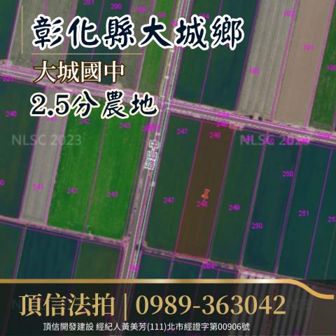 彰化大城拍賣農地-2