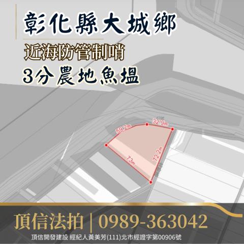 彰化大城農地法拍-3