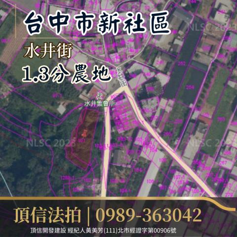 台中拍賣農地-2