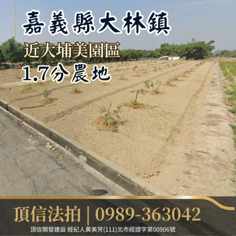 嘉義大林農地法拍-1