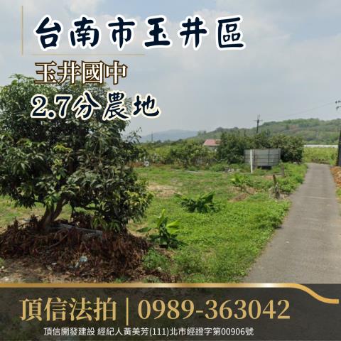 台南農地法拍-1