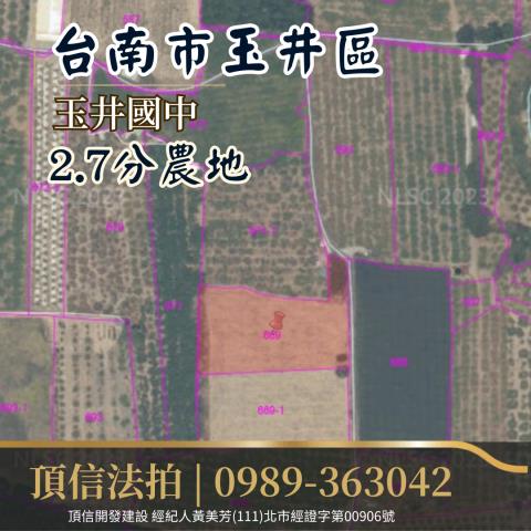 台南農地法拍-2