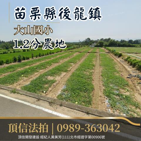 苗栗後龍法拍農地-0