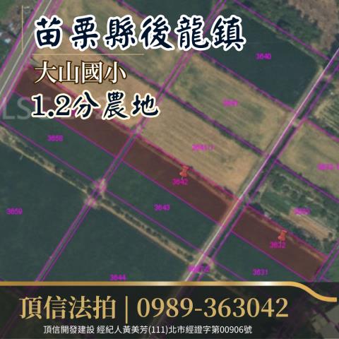 苗栗後龍法拍農地-2