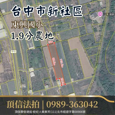 台中新社法拍農地-2