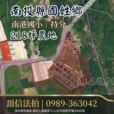 南投農地法拍-3