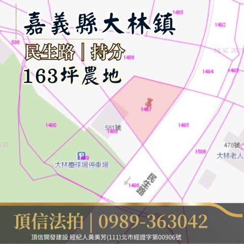 嘉義大林農地法拍-3