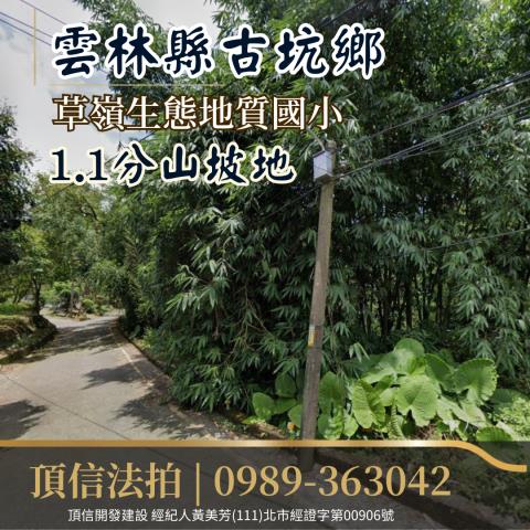 雲林古坑農地法拍-0