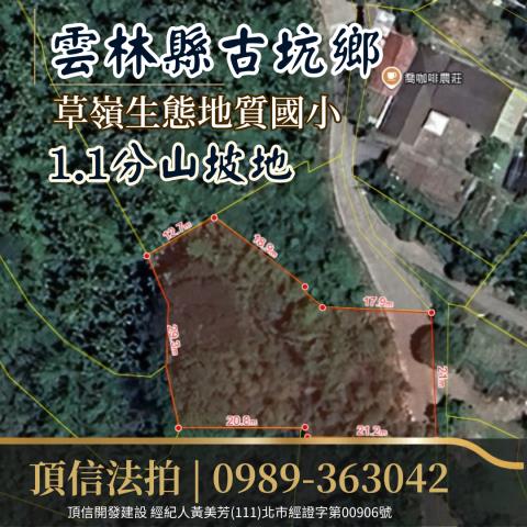 雲林古坑農地法拍-2