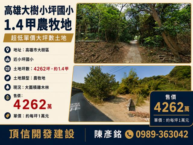大樹農地-0