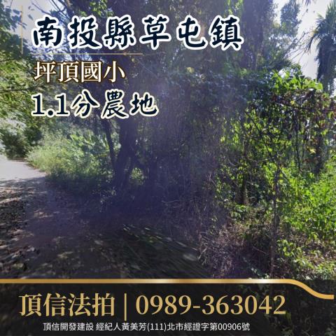 草屯農地法拍-0