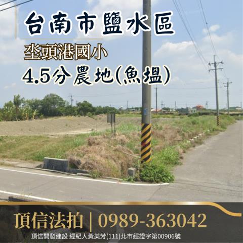 鹽水農地法拍-0
