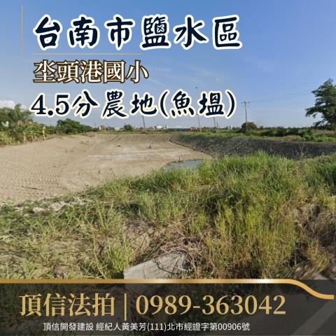 鹽水農地法拍-1