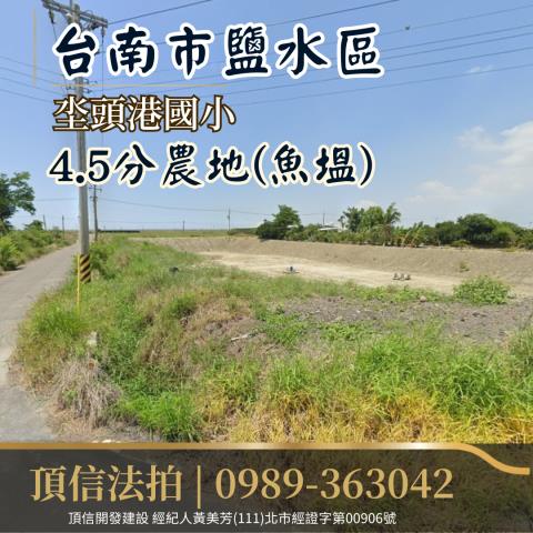 鹽水農地法拍-2