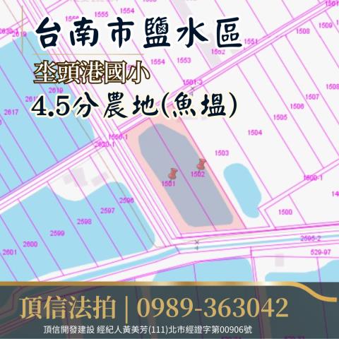 鹽水農地法拍-5