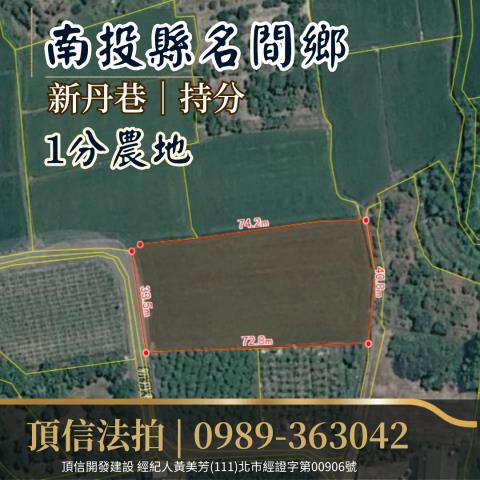 南投名間法拍農地-2
