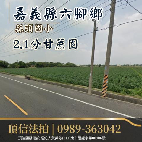 嘉義農地法拍-0