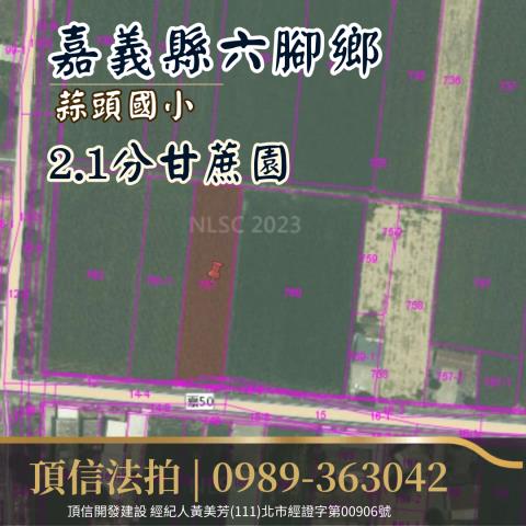 嘉義農地法拍-2