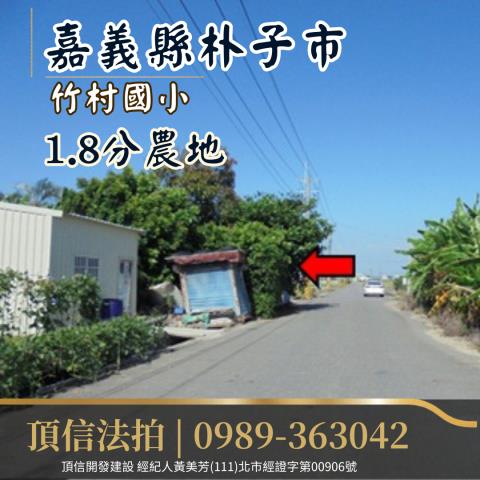 朴子法拍農地-0