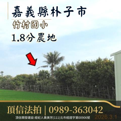 朴子法拍農地-3
