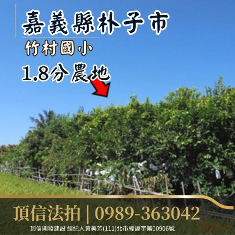 朴子法拍農地-5