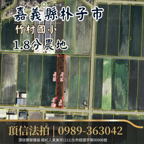 朴子法拍農地-6