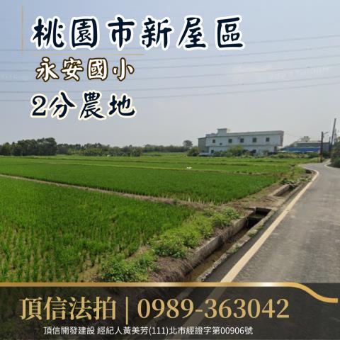 桃園拍賣農地-1