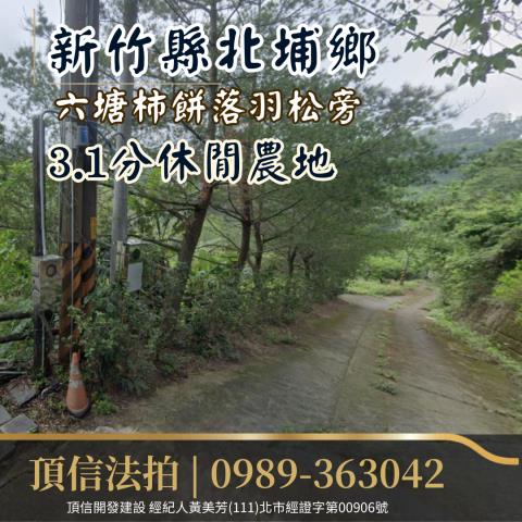 新竹北埔農地法拍-0